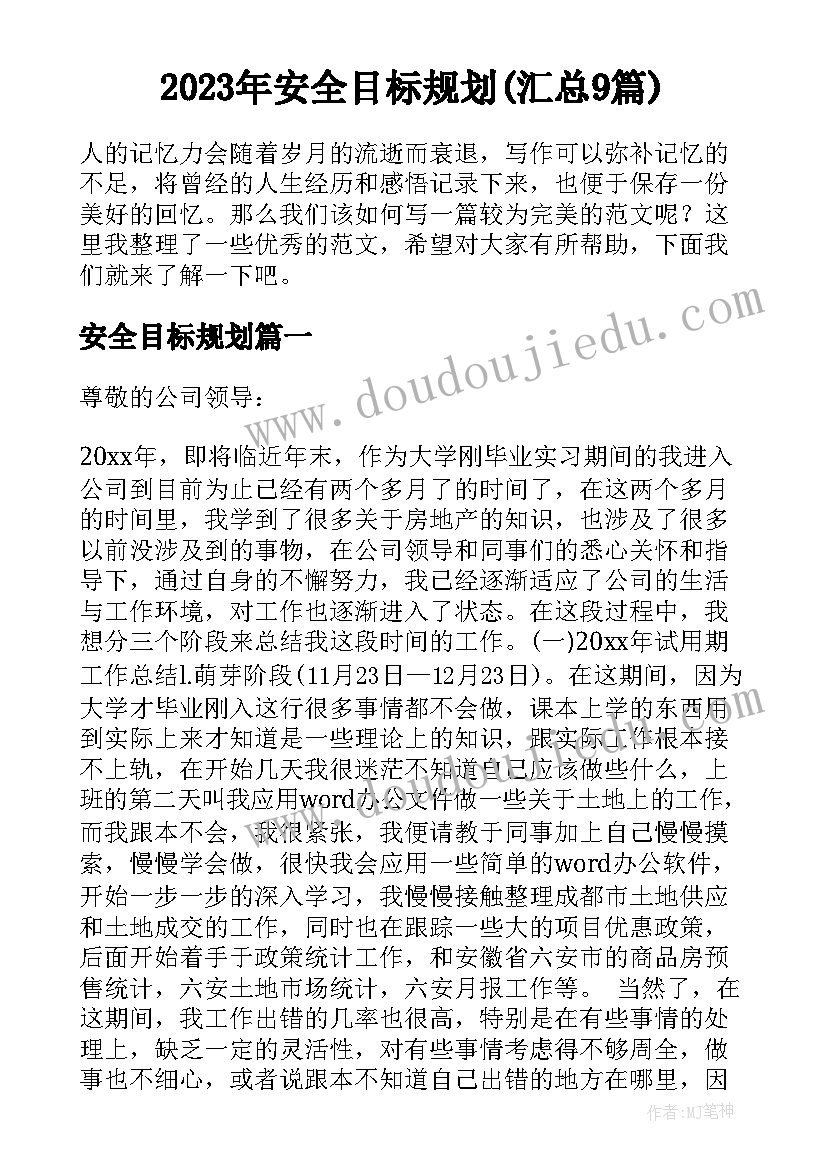 2023年安全目标规划(汇总9篇)