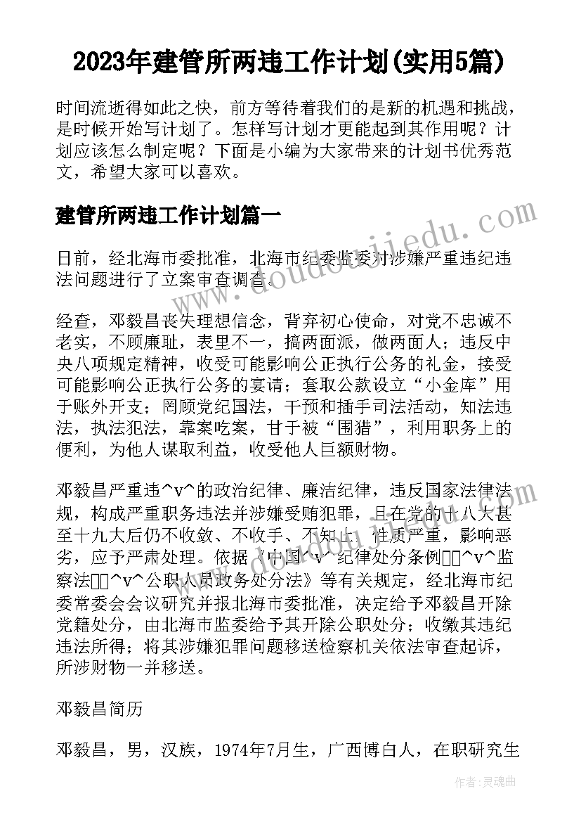 2023年建管所两违工作计划(实用5篇)