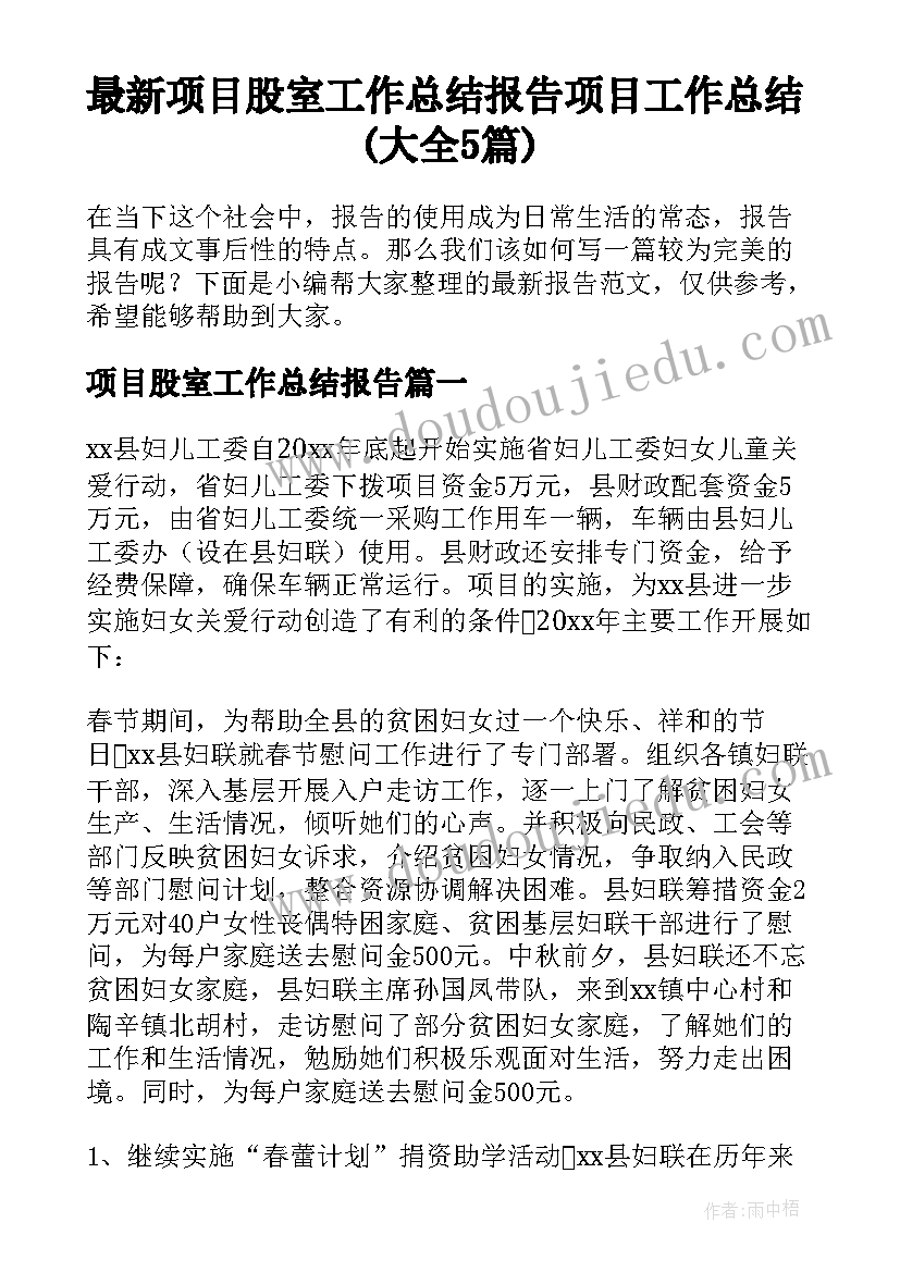 最新项目股室工作总结报告 项目工作总结(大全5篇)