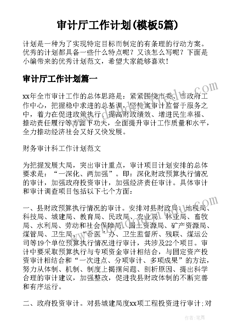 审计厅工作计划(模板5篇)