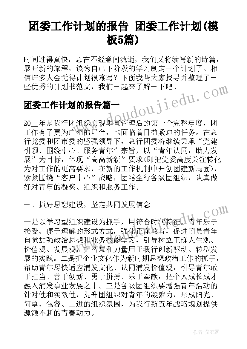 团委工作计划的报告 团委工作计划(模板5篇)