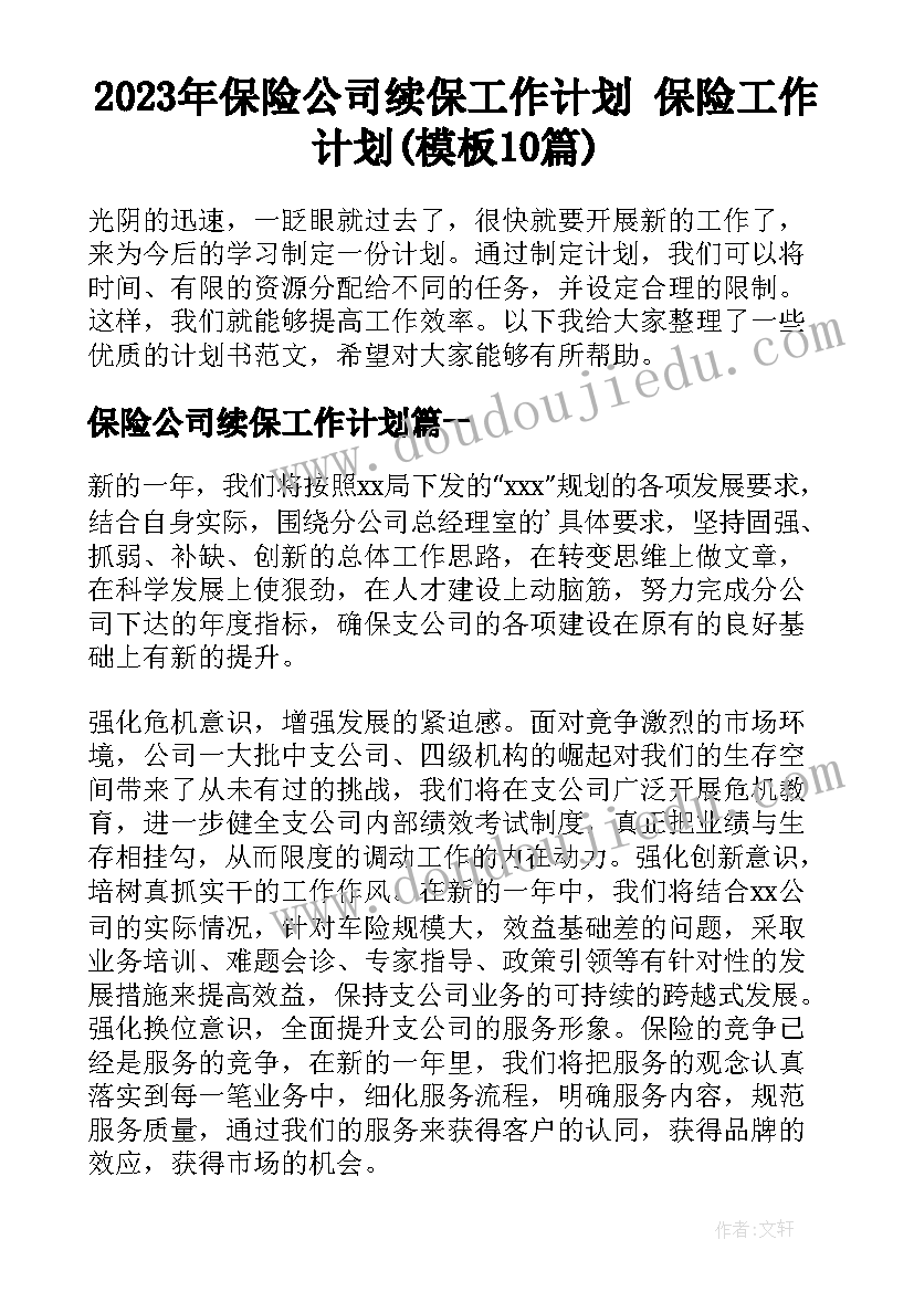 2023年保险公司续保工作计划 保险工作计划(模板10篇)