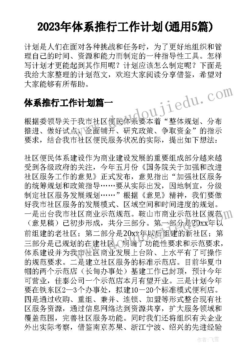 2023年体系推行工作计划(通用5篇)