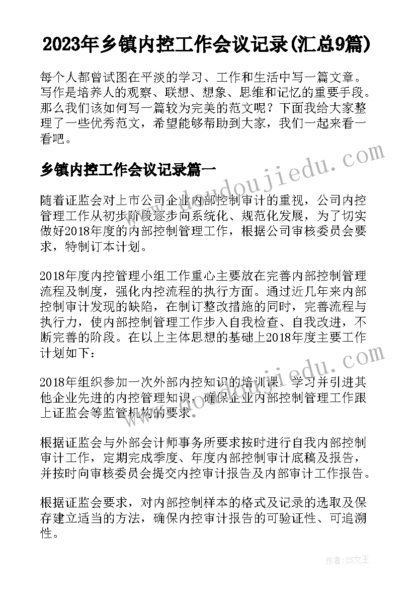 2023年乡镇内控工作会议记录(汇总9篇)