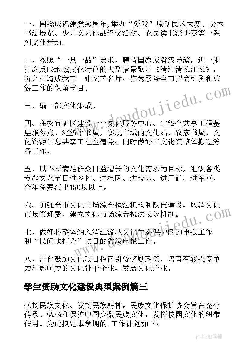 学生资助文化建设典型案例 文化工作计划(优质6篇)