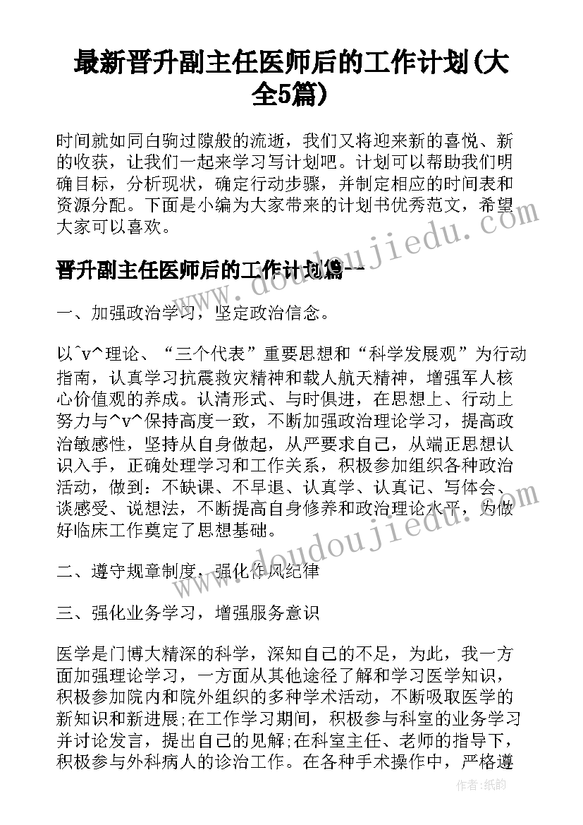 最新晋升副主任医师后的工作计划(大全5篇)