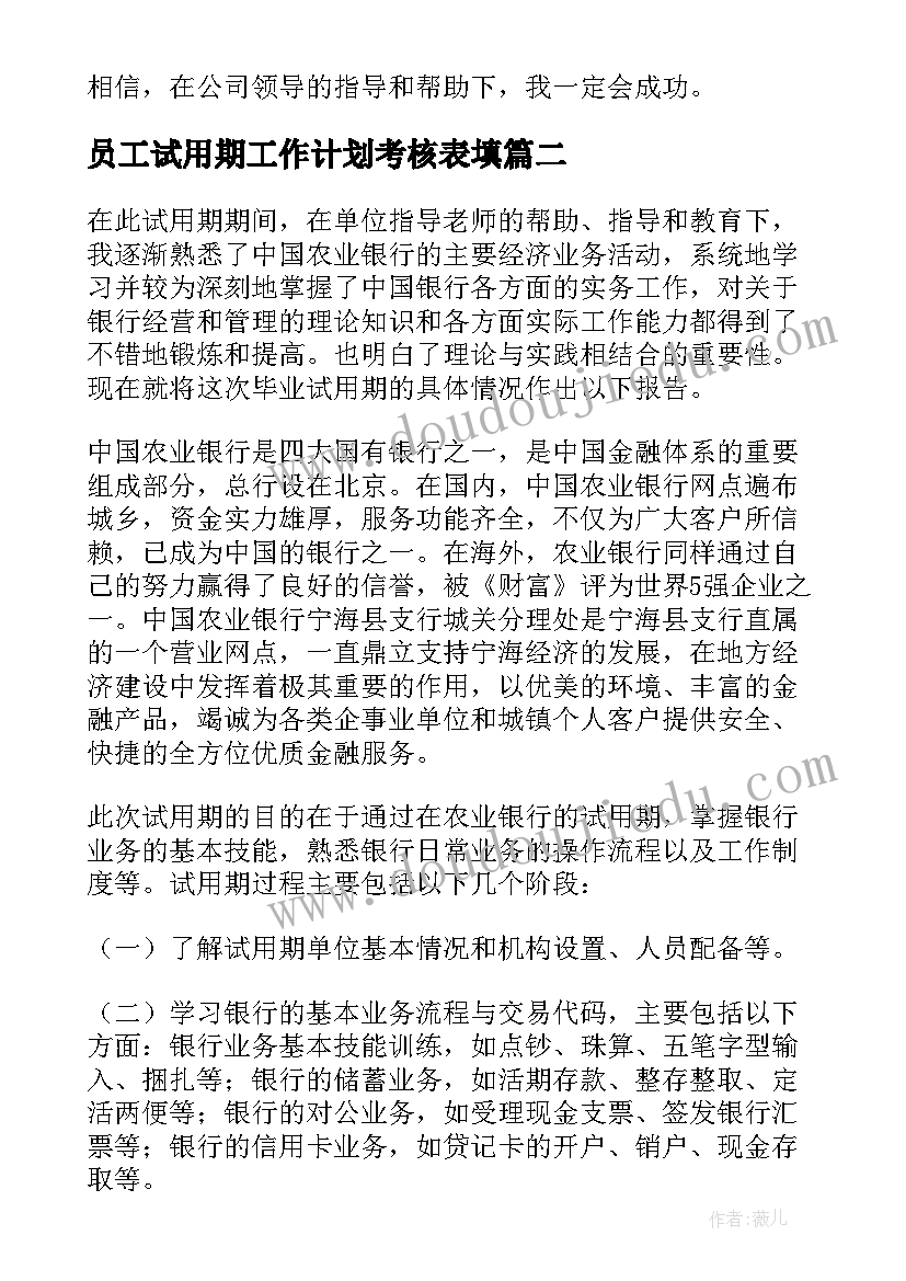 2023年员工试用期工作计划考核表填(优质9篇)