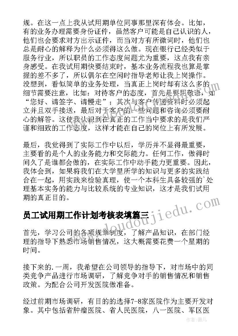 2023年员工试用期工作计划考核表填(优质9篇)