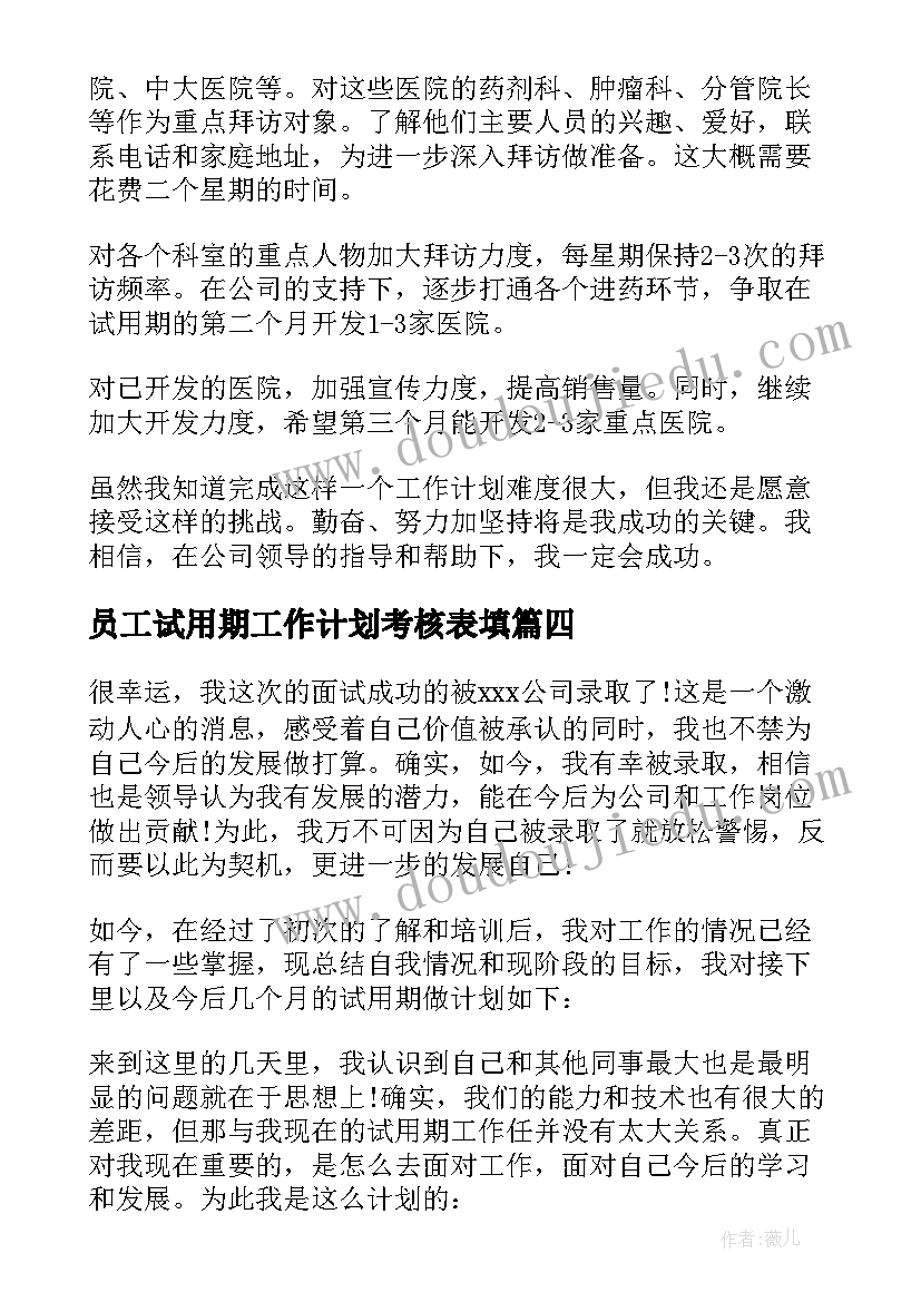 2023年员工试用期工作计划考核表填(优质9篇)