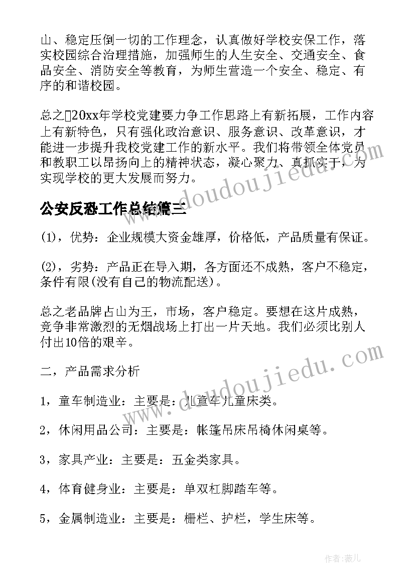 2023年公安反恐工作总结(优质8篇)