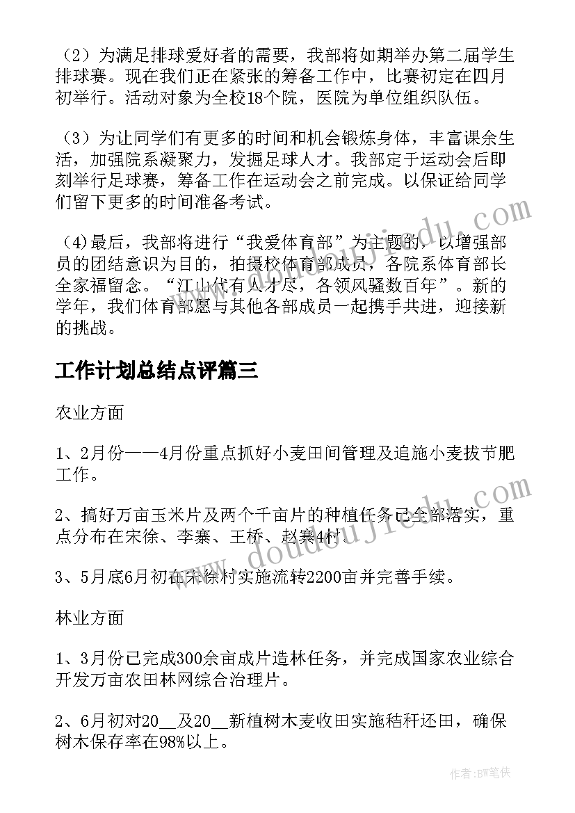 工作计划总结点评(模板10篇)