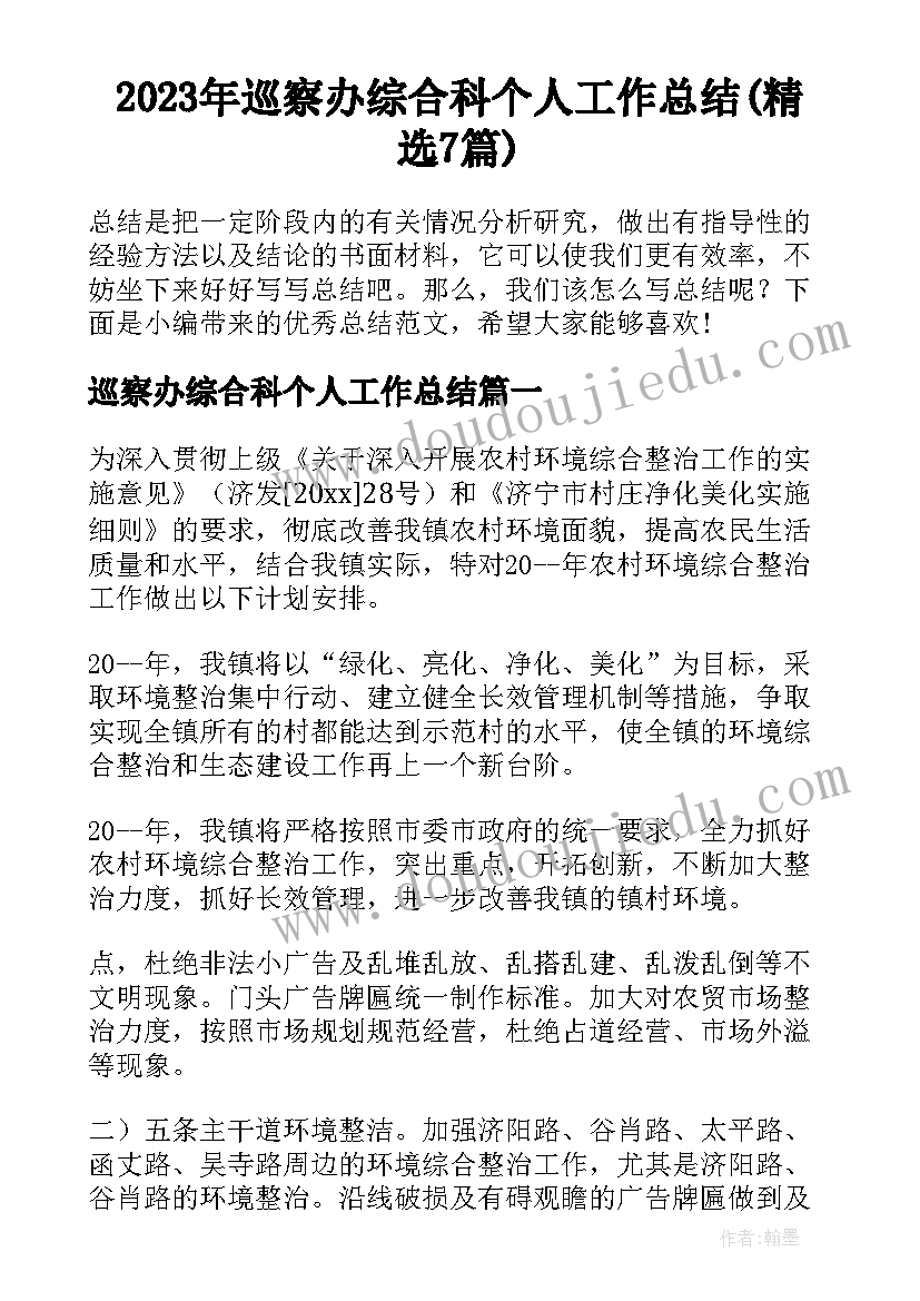 2023年巡察办综合科个人工作总结(精选7篇)