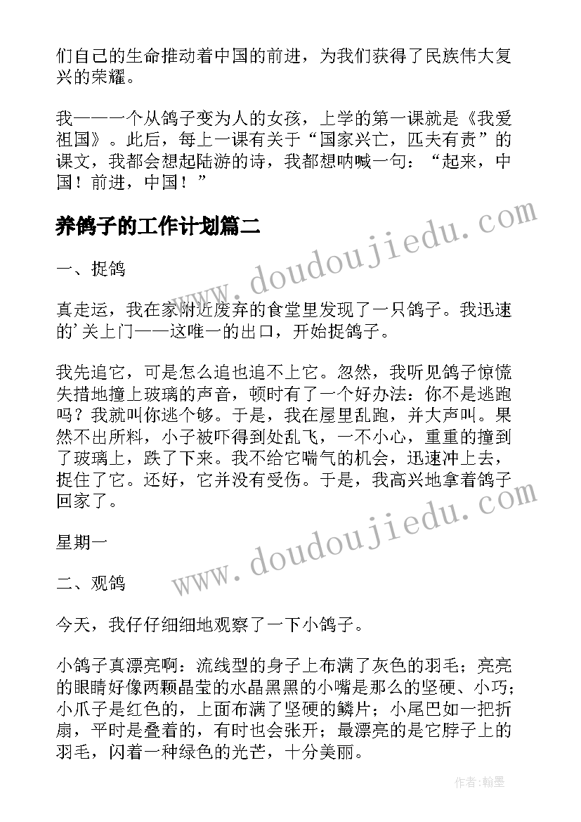 最新养鸽子的工作计划(大全7篇)