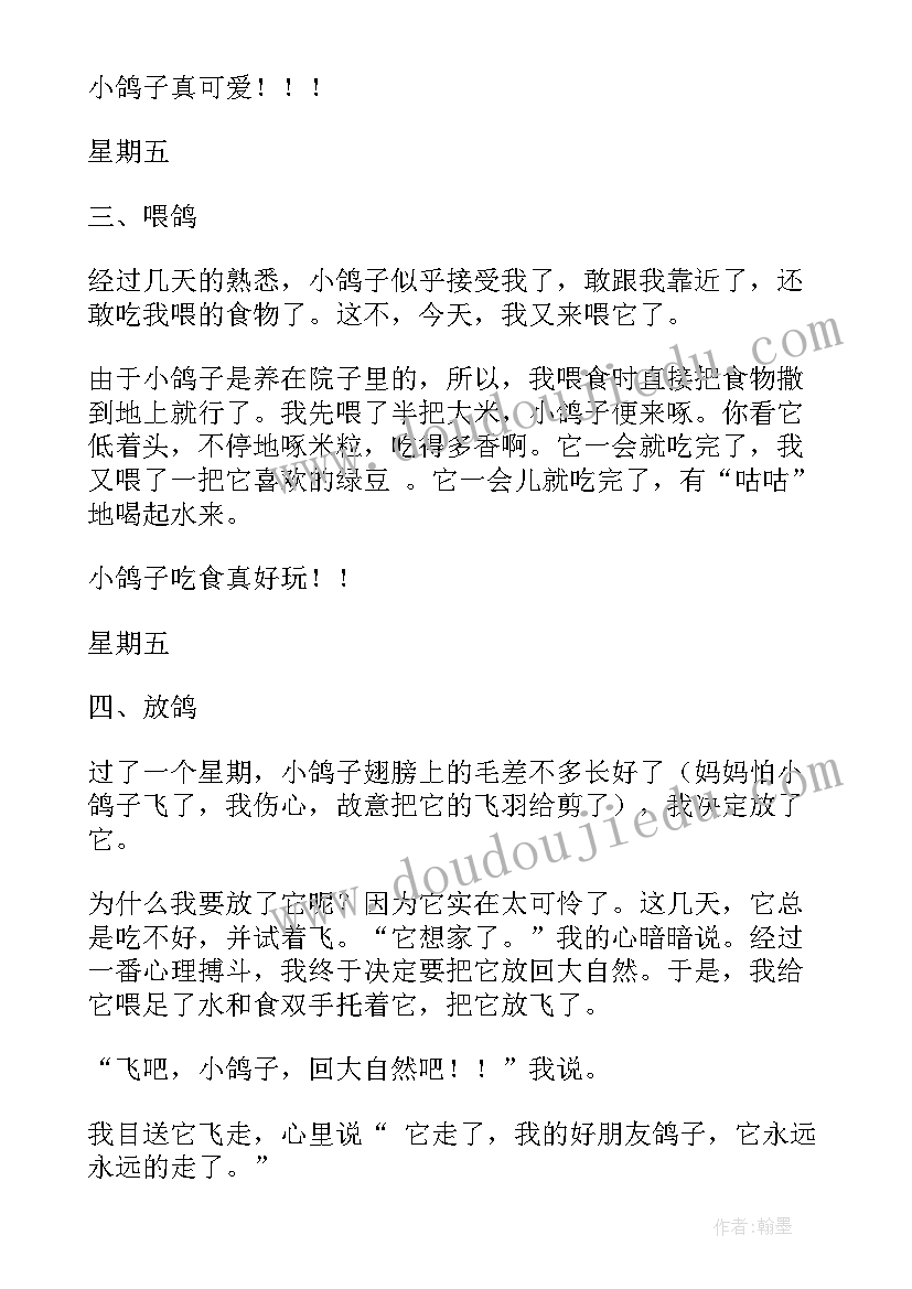 最新养鸽子的工作计划(大全7篇)