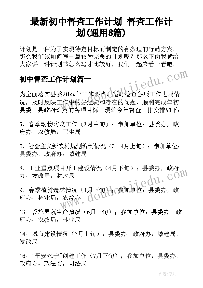 最新初中督查工作计划 督查工作计划(通用8篇)