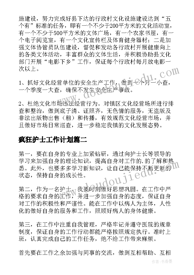 最新疯狂护士工作计划 疯狂的工作计划(实用9篇)