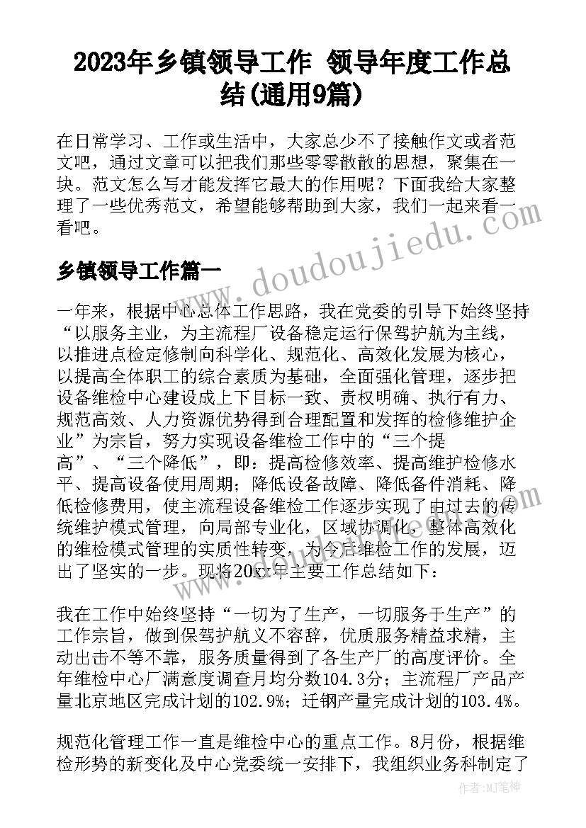 2023年乡镇领导工作 领导年度工作总结(通用9篇)