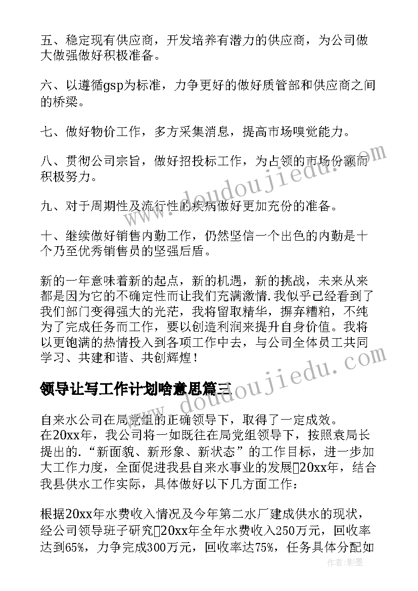 2023年领导让写工作计划啥意思(实用8篇)