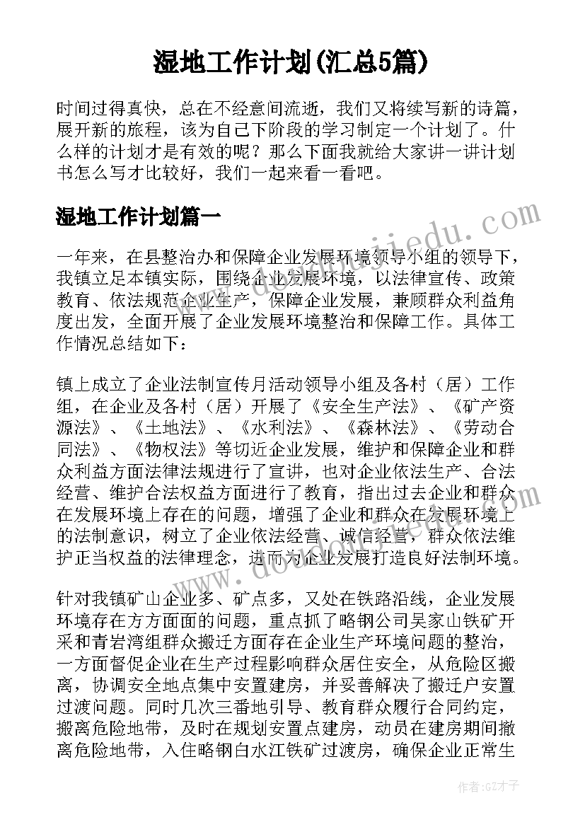 2023年幼儿园大班保教工作计划和总结(精选9篇)