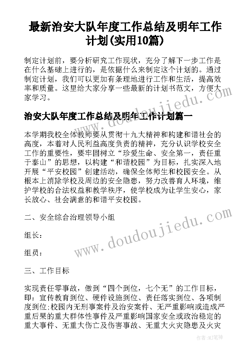 最新治安大队年度工作总结及明年工作计划(实用10篇)