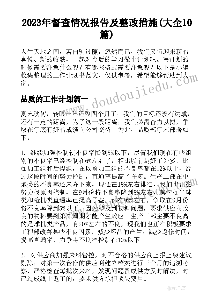 2023年督查情况报告及整改措施(大全10篇)