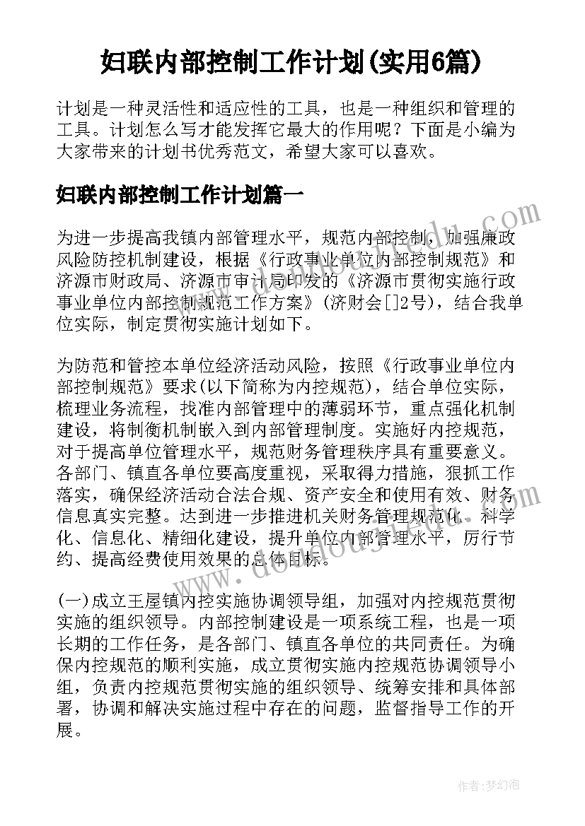 妇联内部控制工作计划(实用6篇)