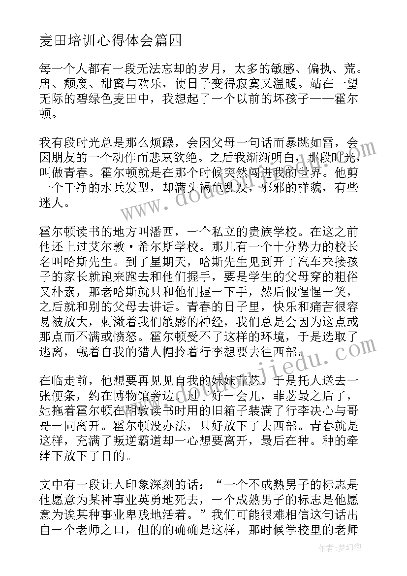 2023年做清明果的活动设计方案(模板5篇)