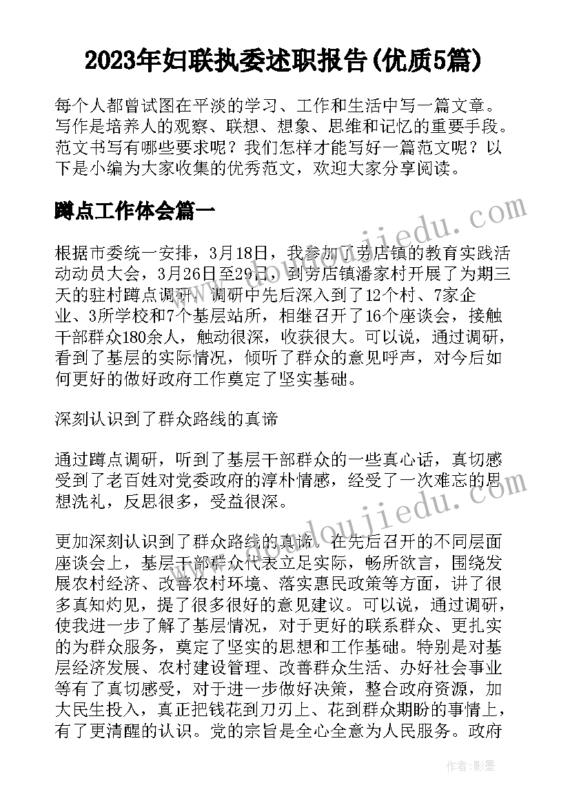 2023年妇联执委述职报告(优质5篇)