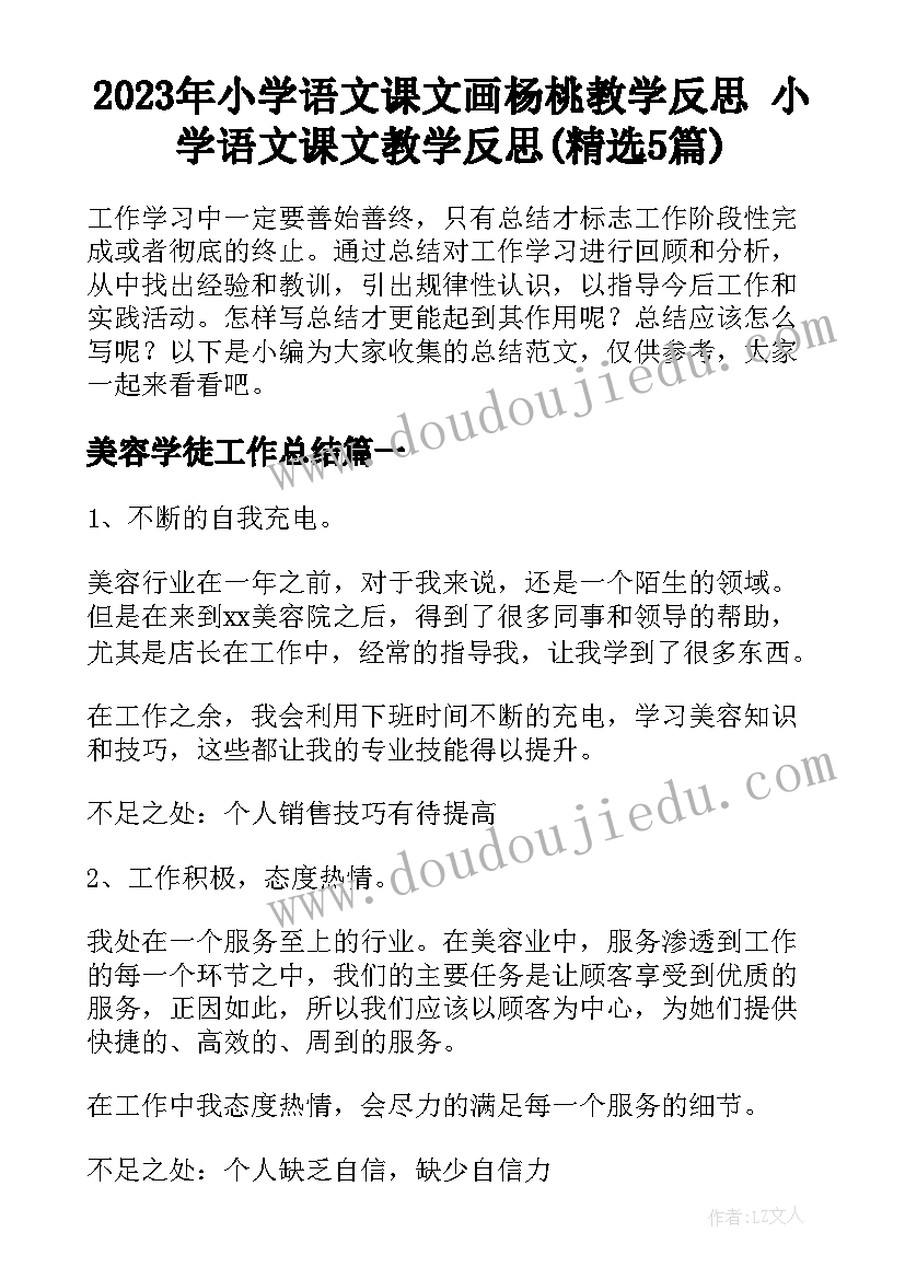 2023年小学语文课文画杨桃教学反思 小学语文课文教学反思(精选5篇)