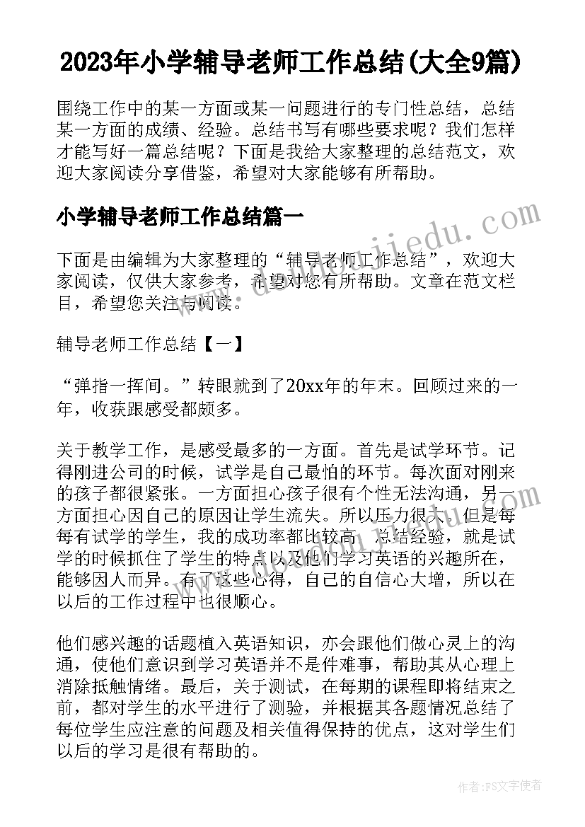 2023年小学辅导老师工作总结(大全9篇)