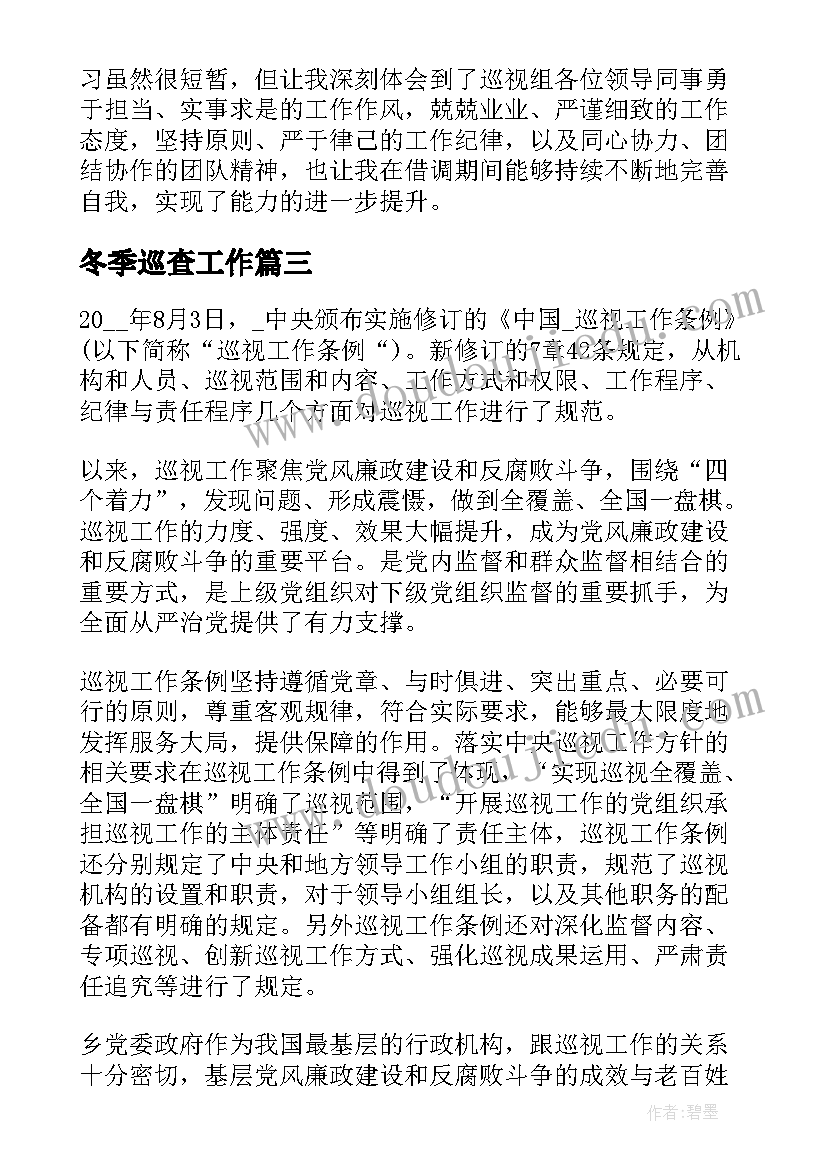 2023年冬季巡查工作 定点巡查工作总结共(优秀5篇)