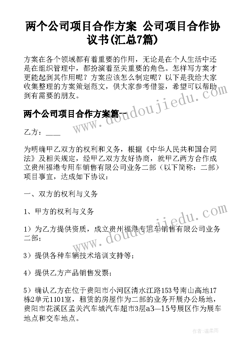 两个公司项目合作方案 公司项目合作协议书(汇总7篇)