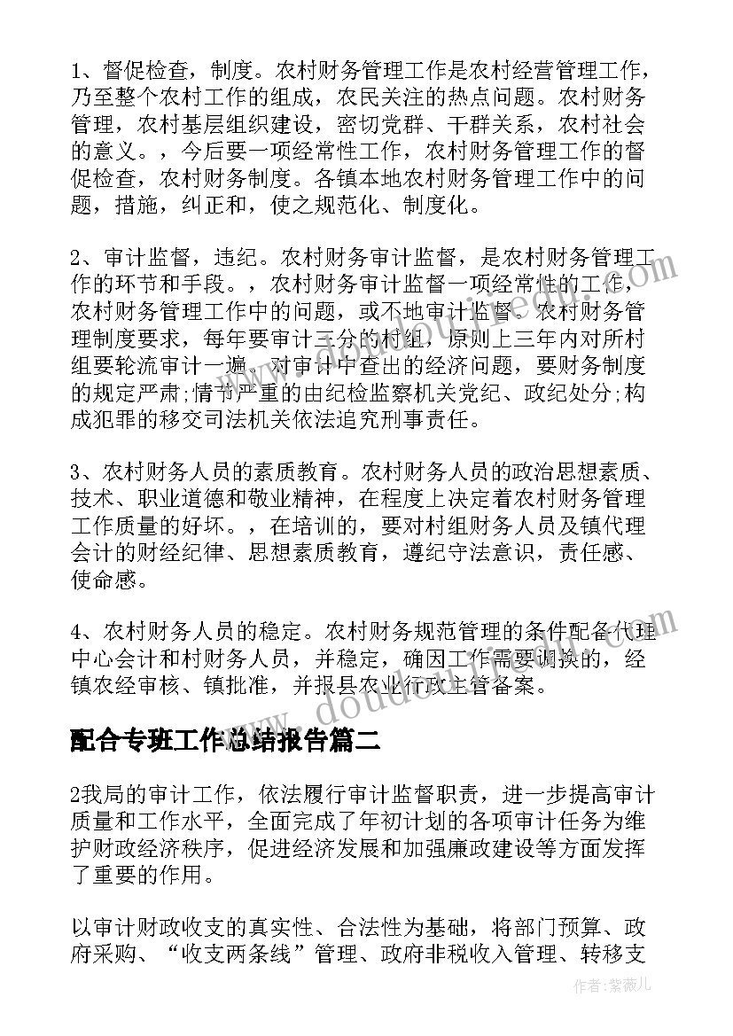 配合专班工作总结报告(实用5篇)