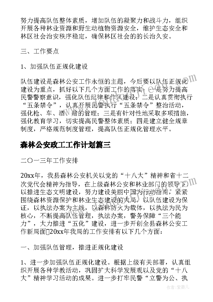 2023年森林公安政工工作计划(大全5篇)