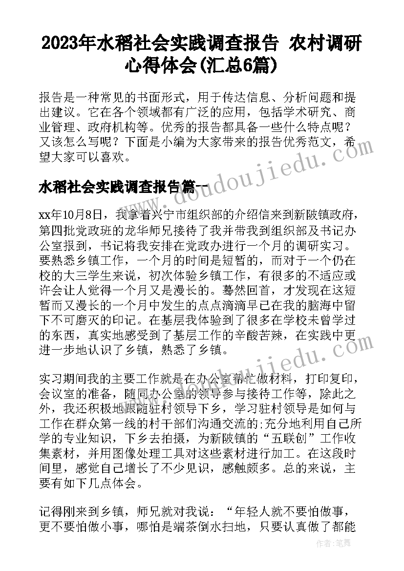 2023年水稻社会实践调查报告 农村调研心得体会(汇总6篇)