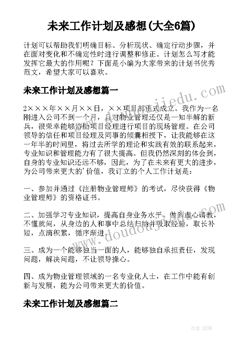 未来工作计划及感想(大全6篇)