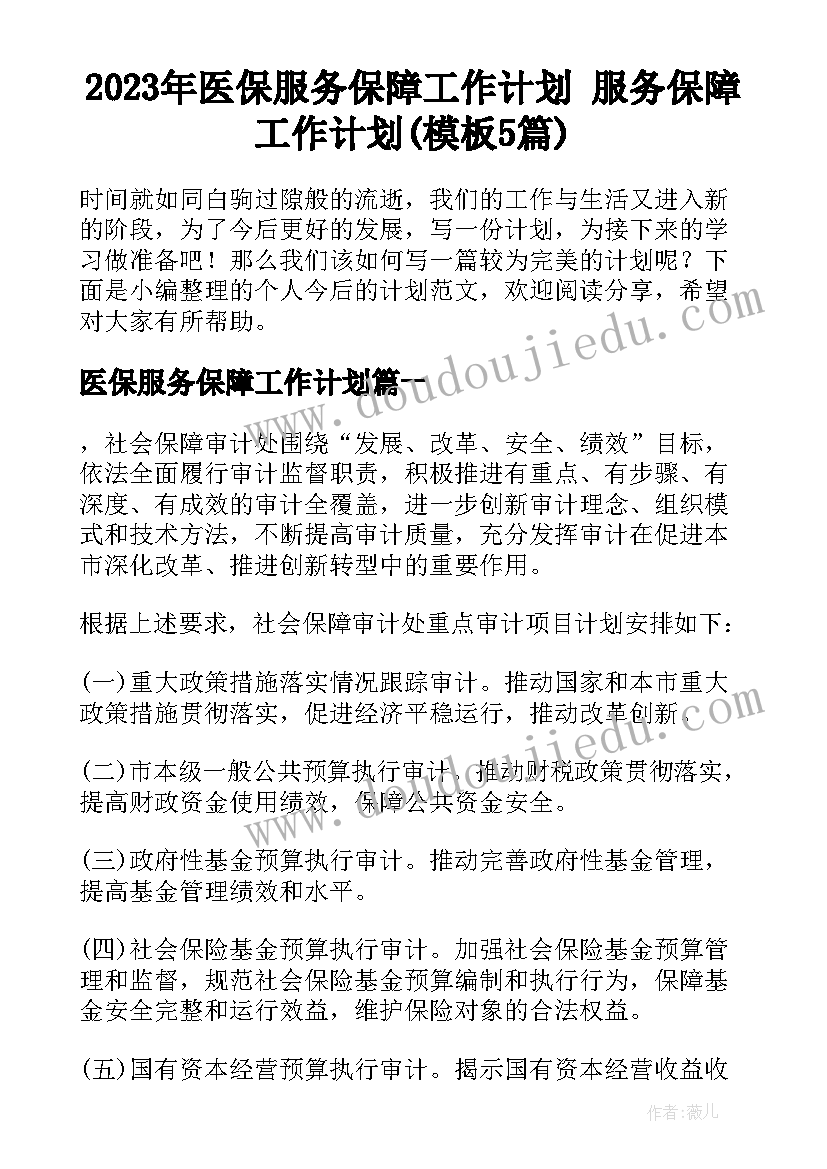 2023年医保服务保障工作计划 服务保障工作计划(模板5篇)