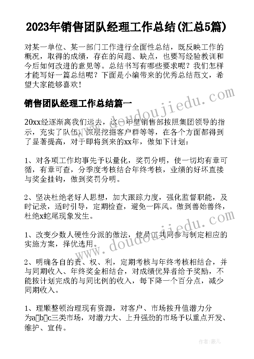 2023年销售团队经理工作总结(汇总5篇)