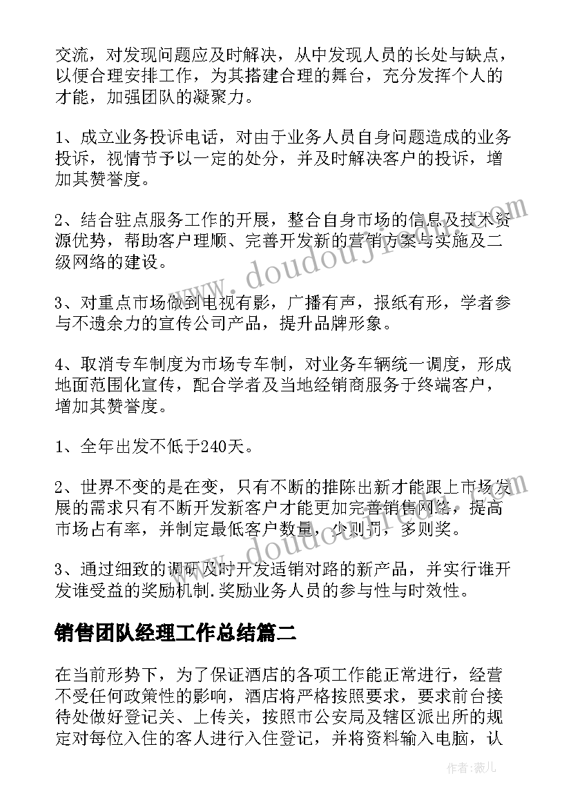 2023年销售团队经理工作总结(汇总5篇)