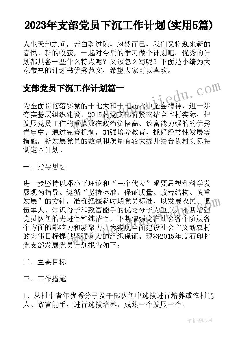 2023年支部党员下沉工作计划(实用5篇)