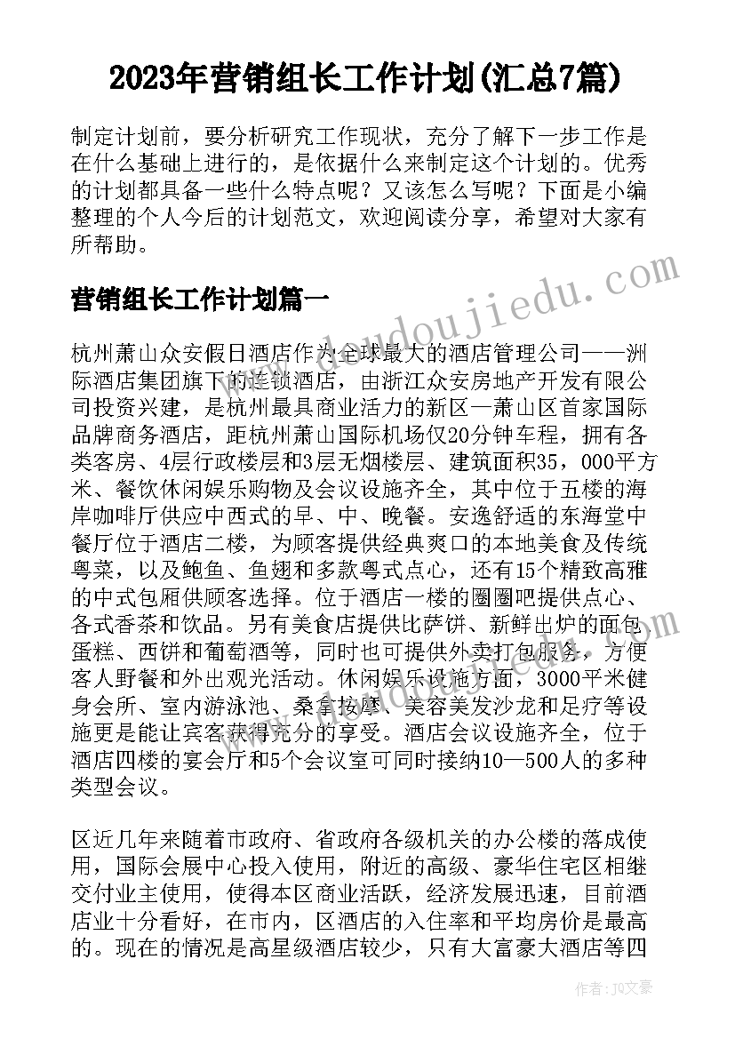 2023年营销组长工作计划(汇总7篇)