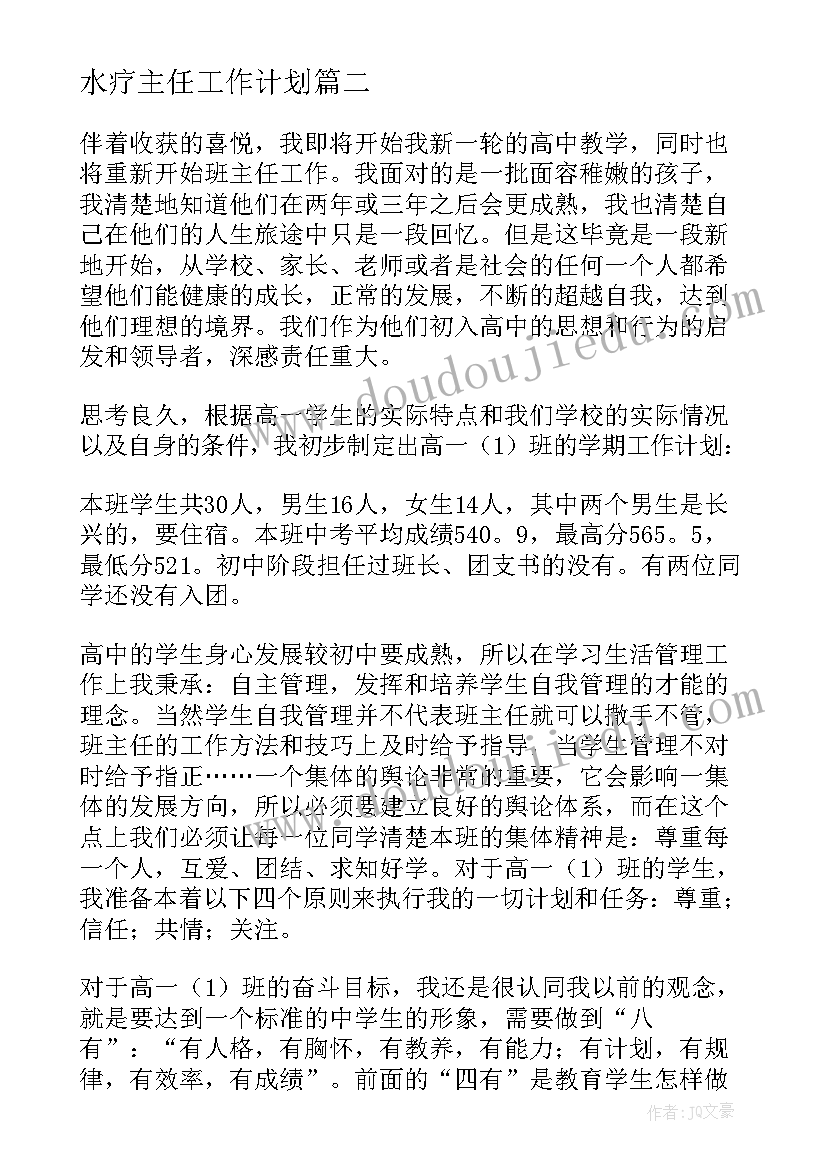 2023年水疗主任工作计划(实用10篇)