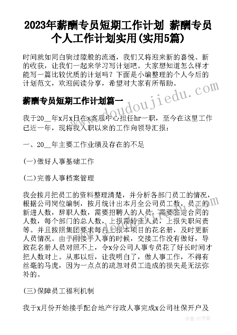 2023年薪酬专员短期工作计划 薪酬专员个人工作计划实用(实用5篇)