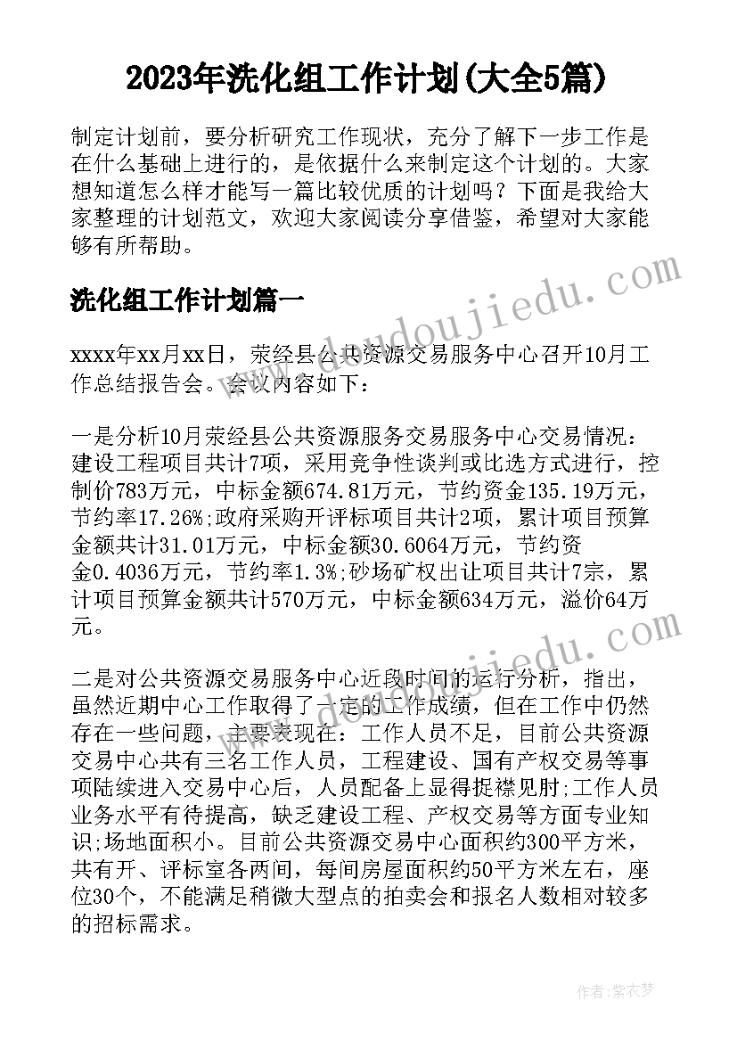 2023年洗化组工作计划(大全5篇)