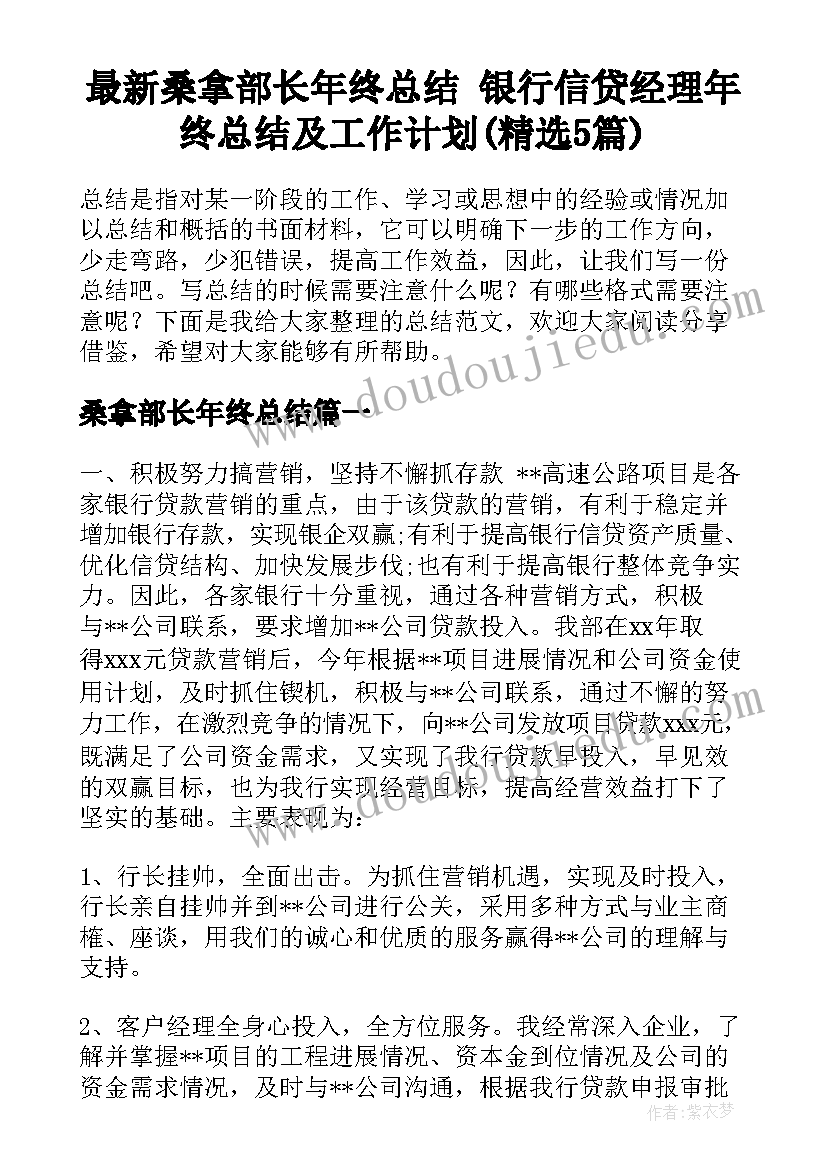 最新桑拿部长年终总结 银行信贷经理年终总结及工作计划(精选5篇)