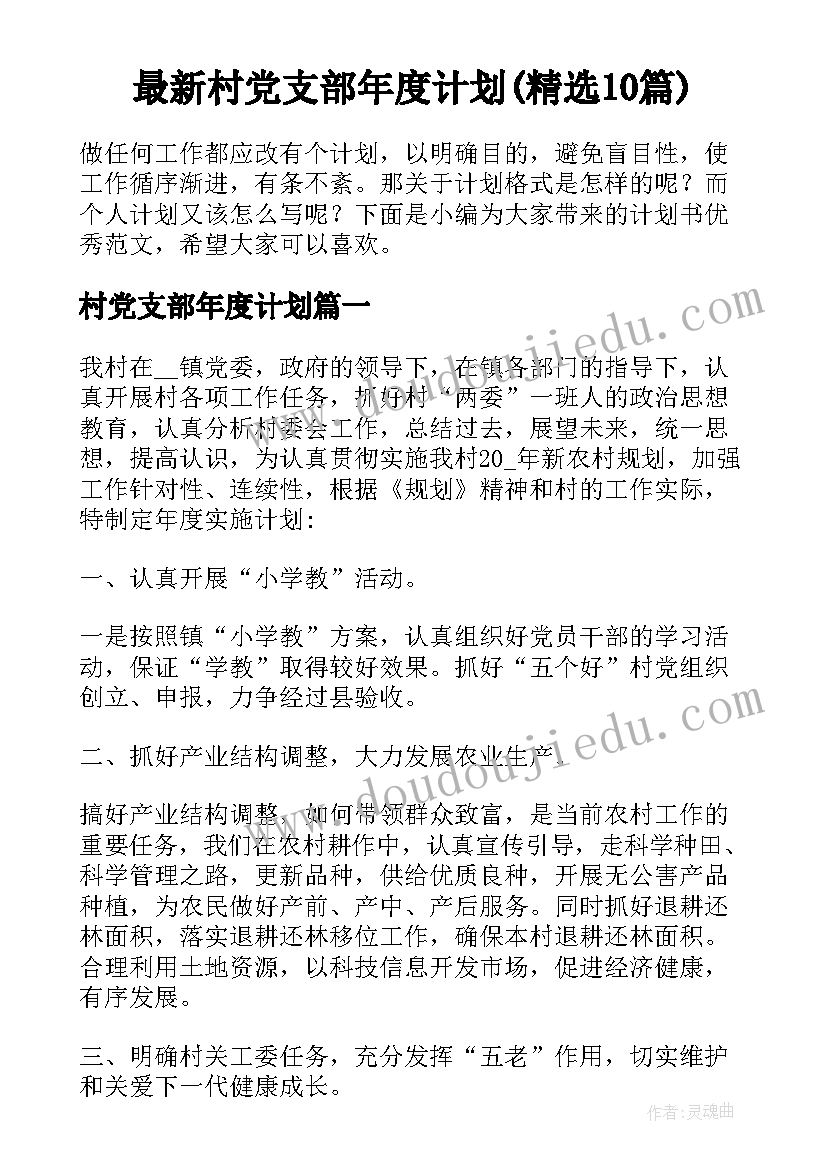 最新村党支部年度计划(精选10篇)