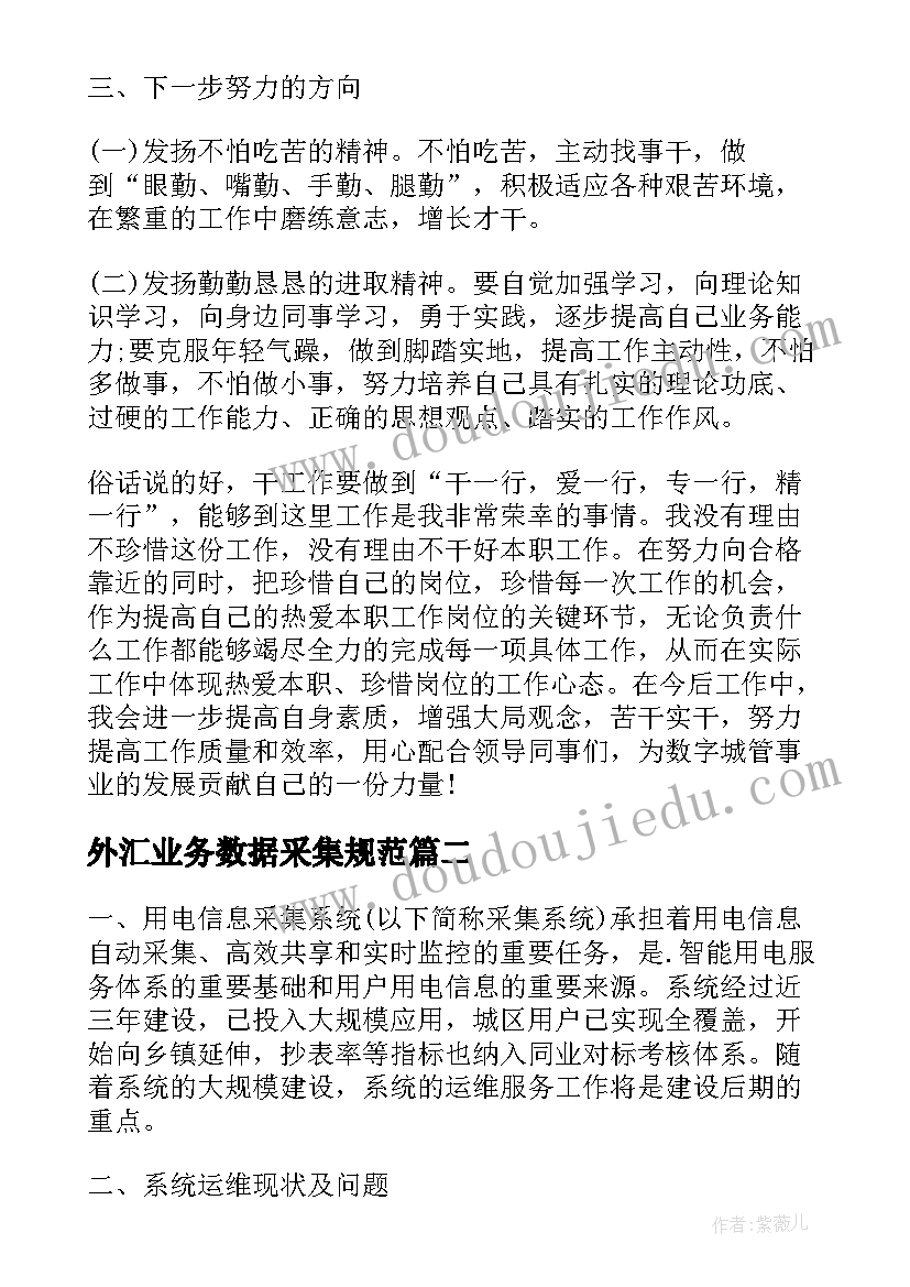 最新外汇业务数据采集规范 三实信息采集工作总结(实用5篇)