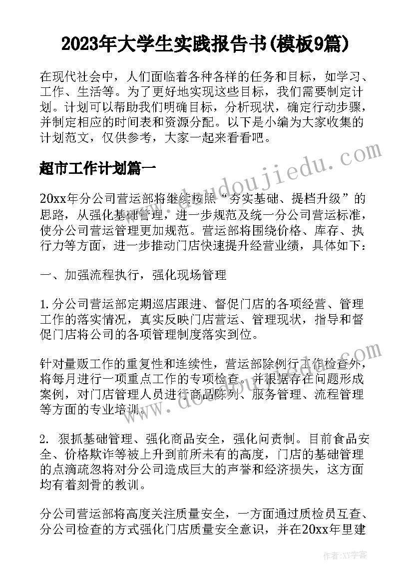 2023年大学生实践报告书(模板9篇)