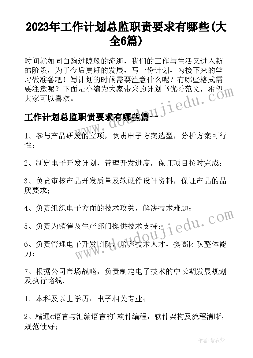 2023年工作计划总监职责要求有哪些(大全6篇)