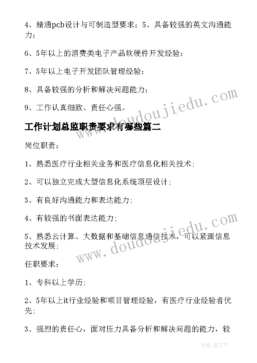 2023年工作计划总监职责要求有哪些(大全6篇)